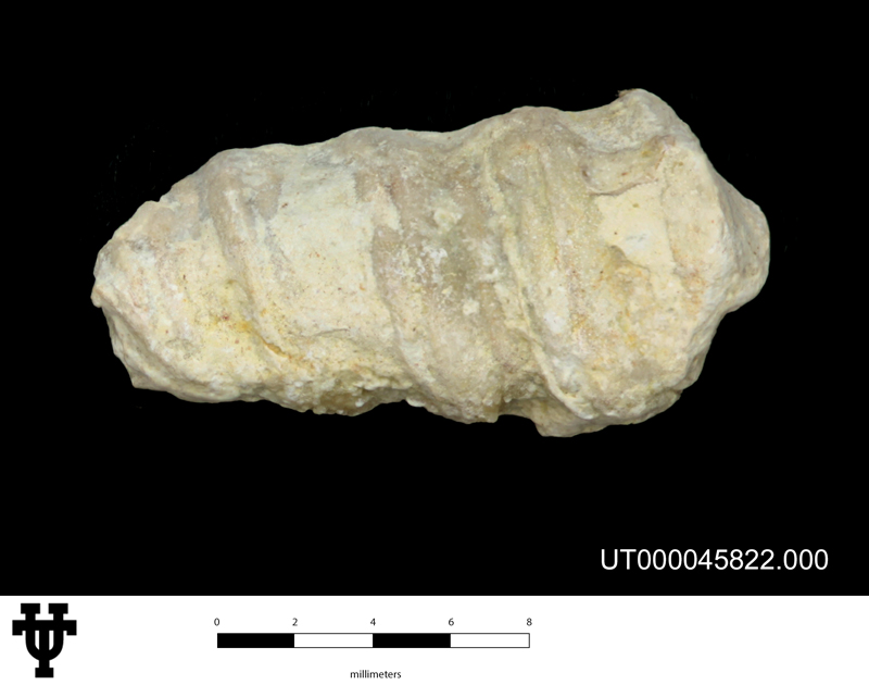 Nerinoides