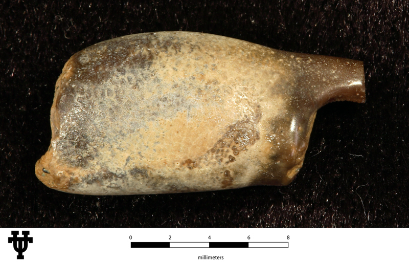 Callianassa burlesonensis Stenzel, 1935, a relative of Callianassa burlesonensis — not Callianassa burlesonensis itself