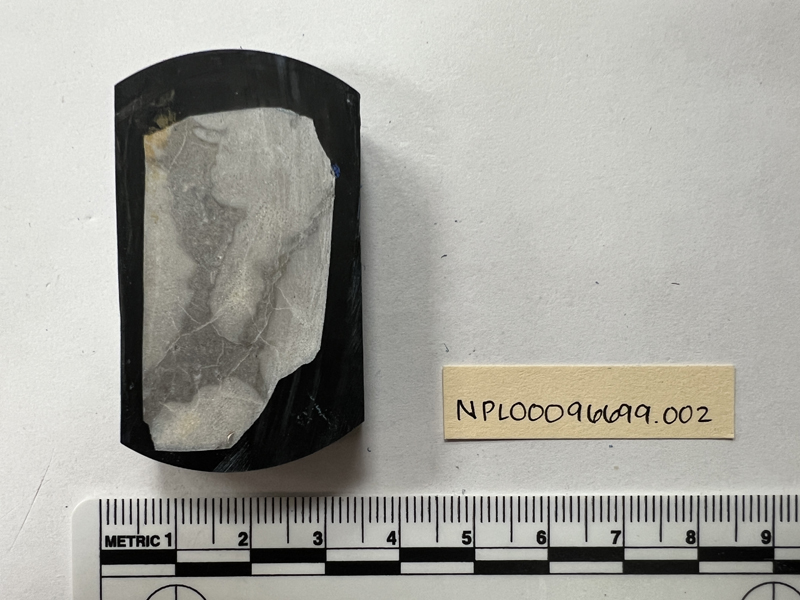 Margarosmilia